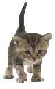 ⇝